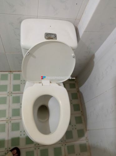 Phòng trọ 15m2 Nguyễn Hữu Cảnh, Vũng Tàu