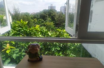 Phòng trọ cho nữ sinh viên, NVVP giá 3.5 triệu/tháng